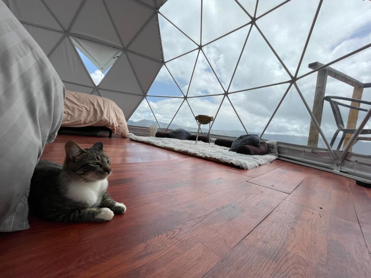 Glamping Wayra Villa Guatavita Kültér fotó
